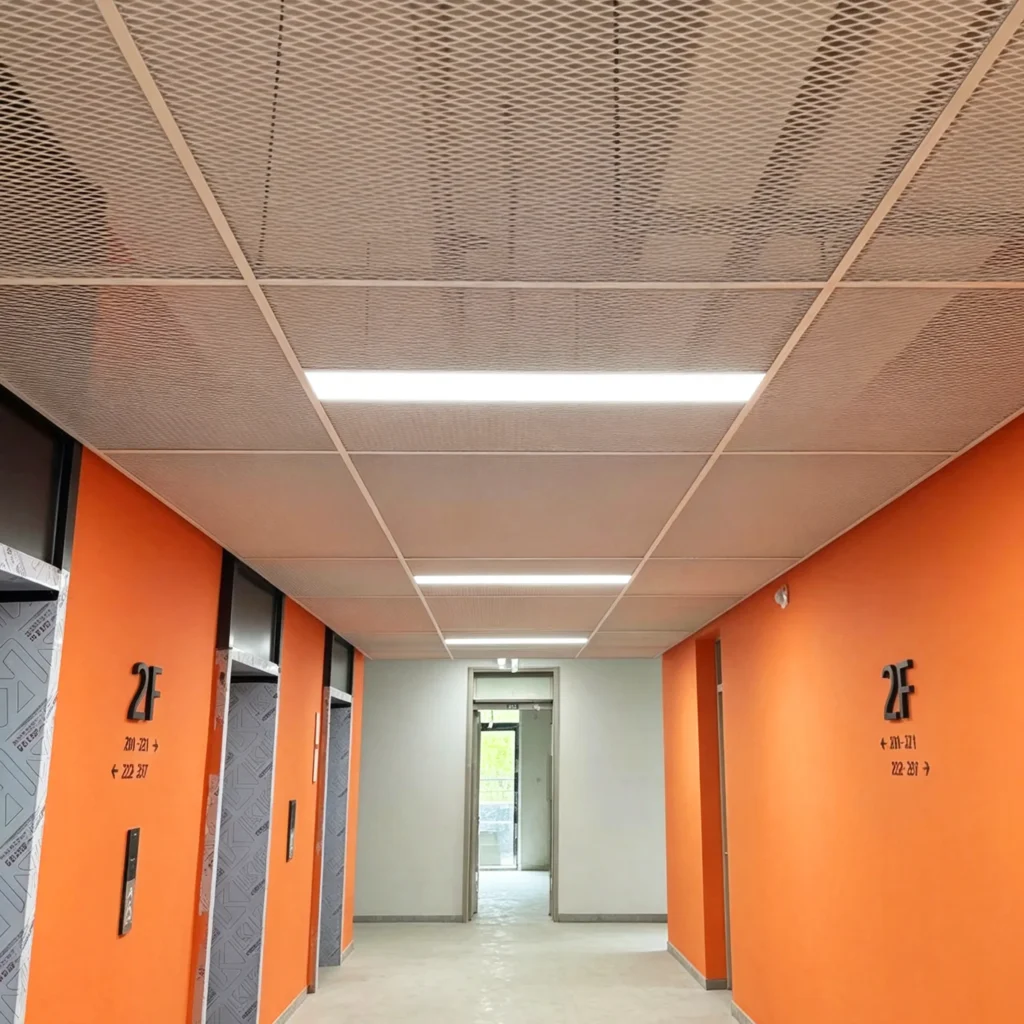 South China University Ceiling